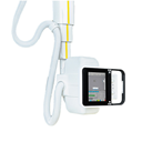 Bayer Stalient 2 nòng - logo (76).png